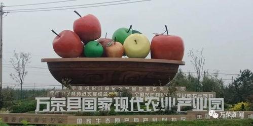 陈氏果业爆料事件视频,揭露行业黑幕背后的真相 第2张 陈氏果业爆料事件视频,揭露行业黑幕背后的真相 第2张